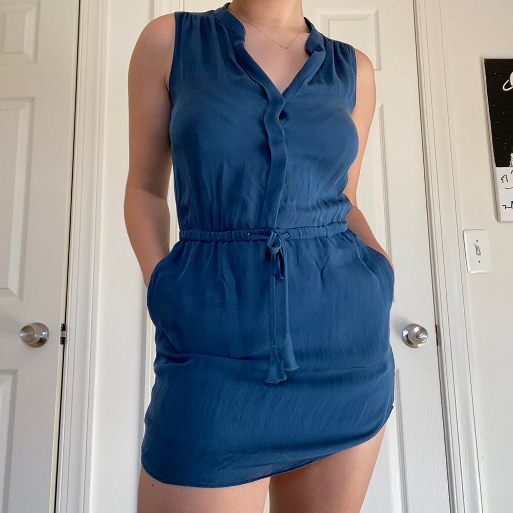 Aritzia Babaton dress